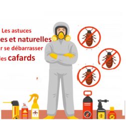 se débarrasser des cafards