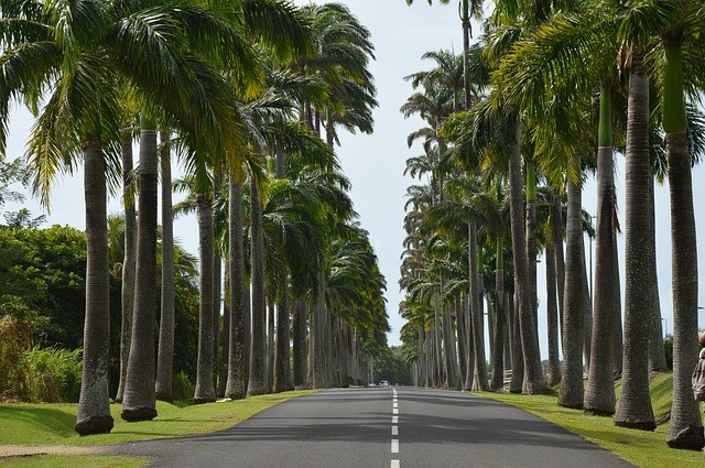 Guadeloupe