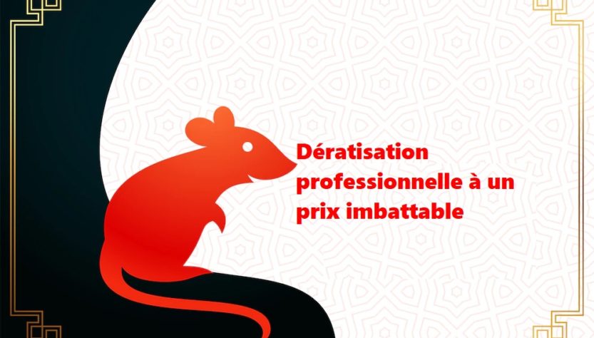 Dératisation professionnelle à un prix imbattable