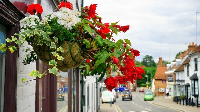 fleurs